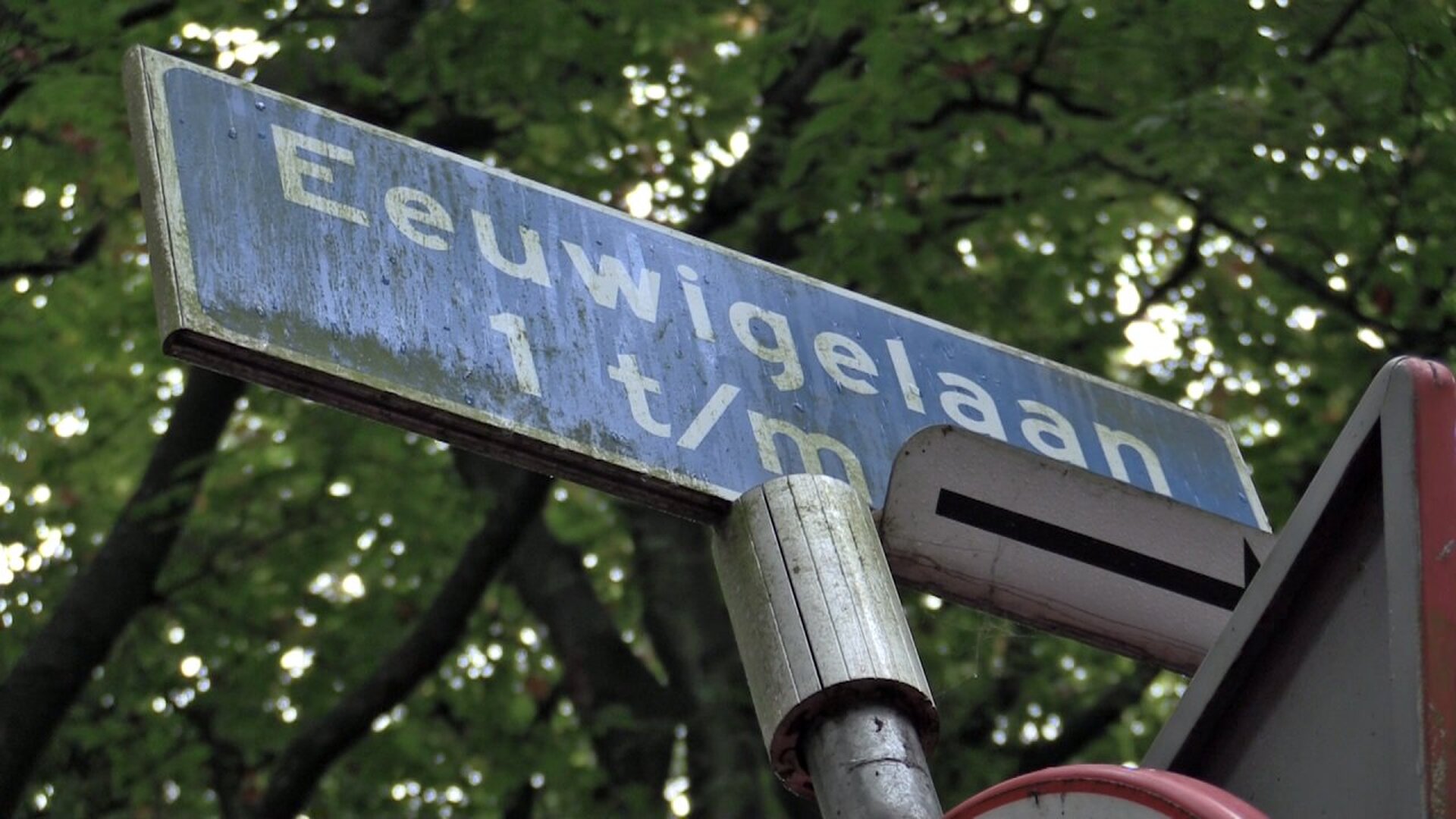 Foto: bergen-eeuwige-laan-bord-1.jpg