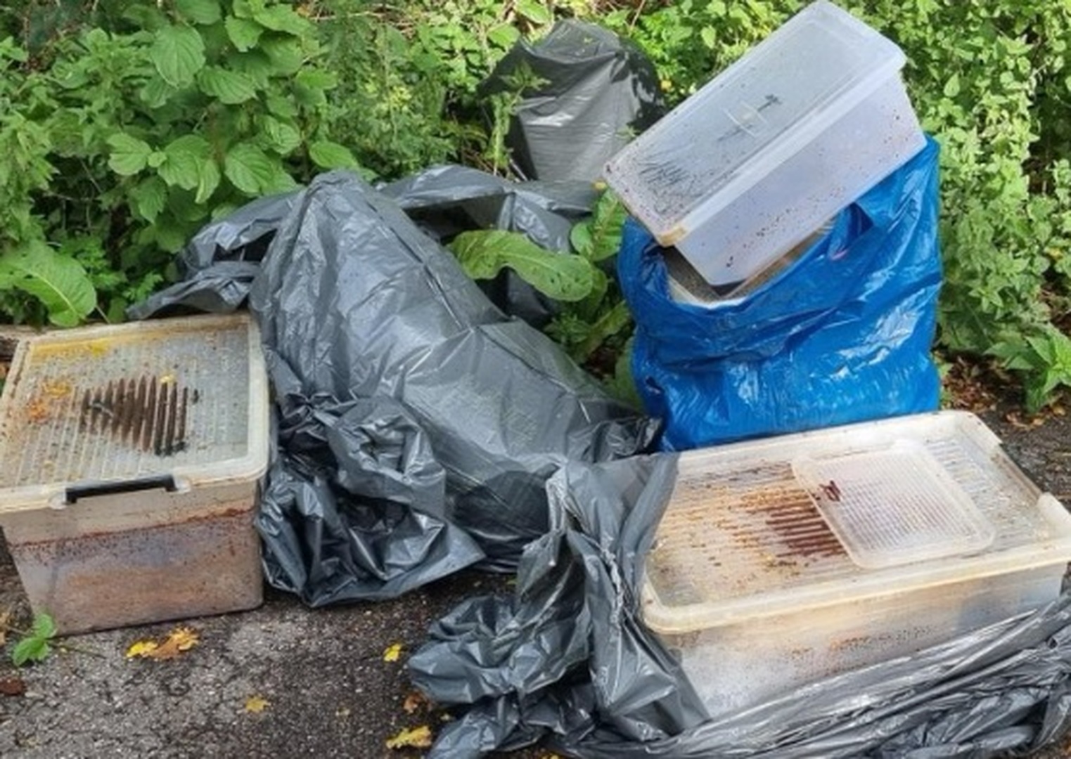 Foto: drugsafval-1.jpg