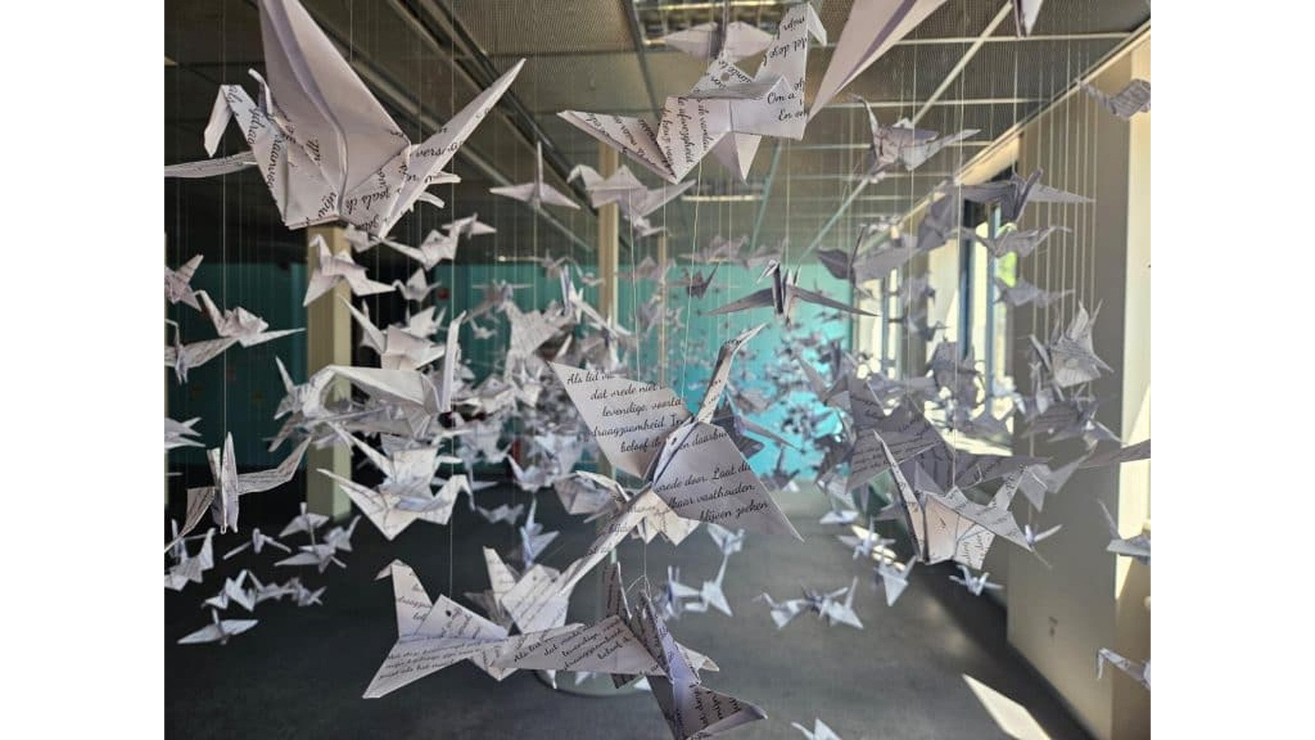 Foto: kraanvogels_heiligemomenten_-768x576.jpg