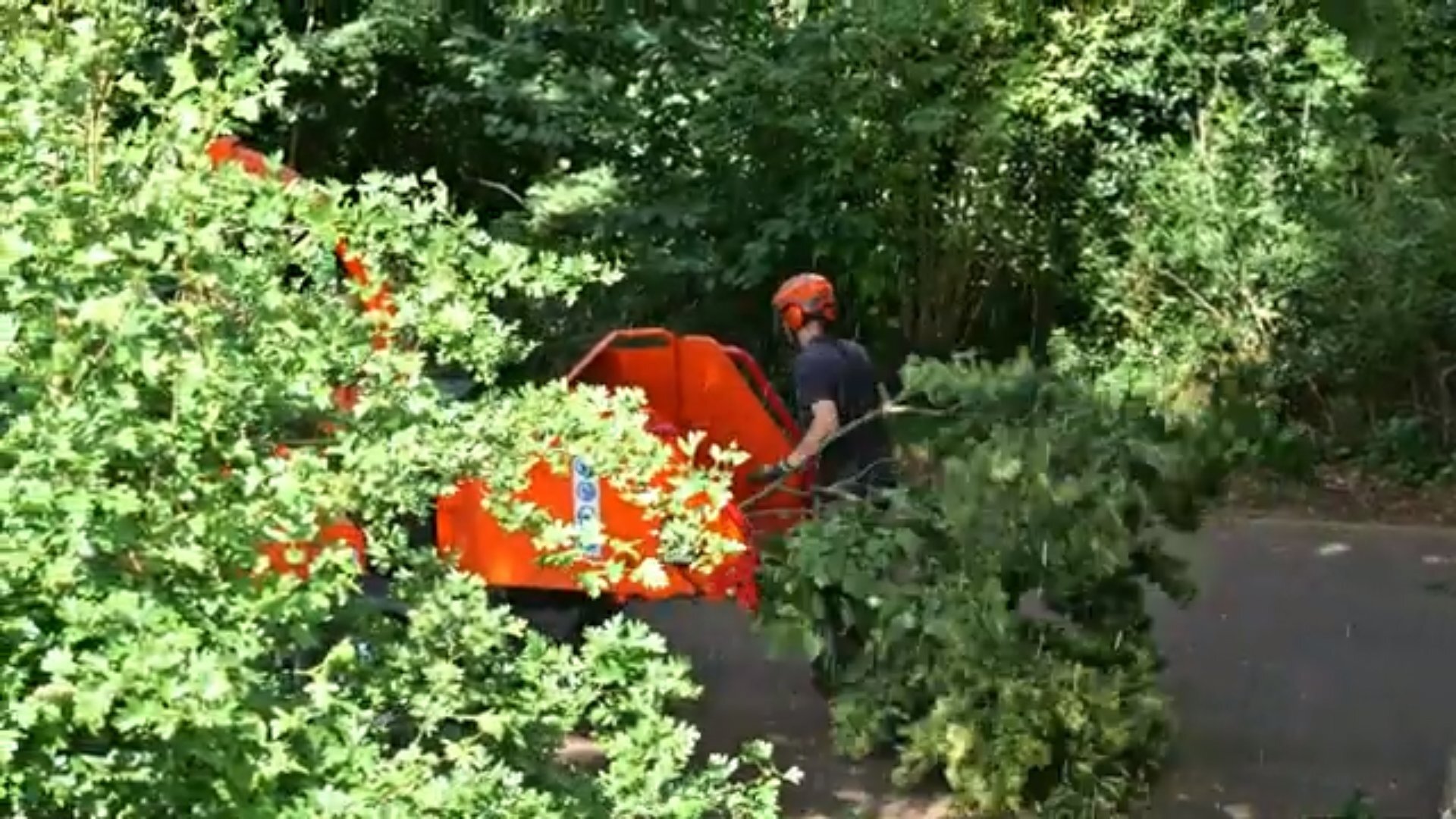 Foto: snoeiwerkzaamheden-in-heiloo-1.jpg